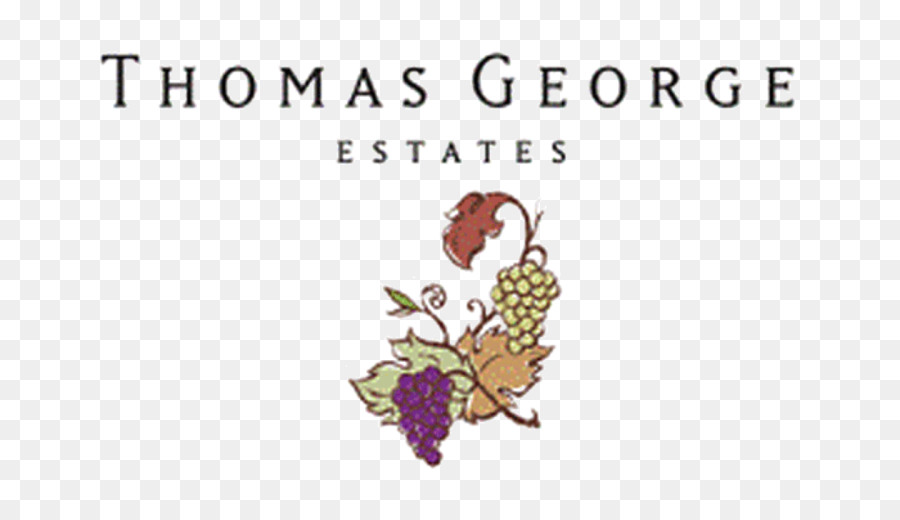 Thomas George Tenute Vino Napa Valley AVA Russian River Valley Chardonnay AVA - vino