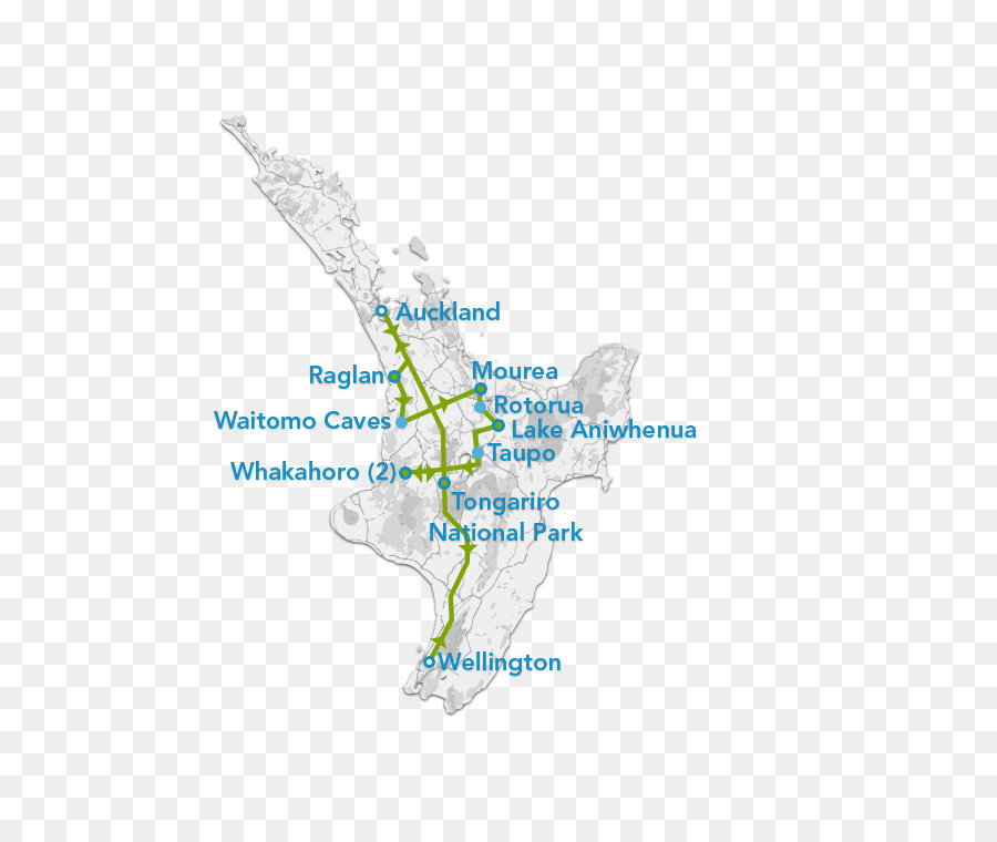 Isola del sud Bus letteratura di Viaggio Mappa HTML - museo della nuova zelanda te papa tongarewa
