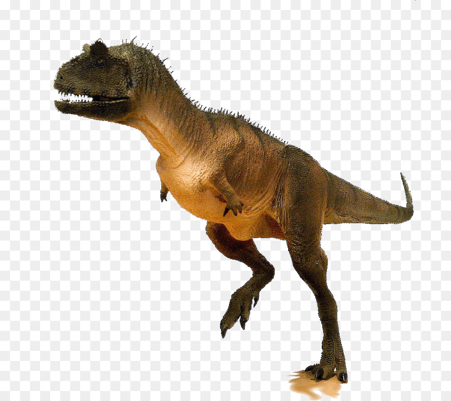 Dinosaur King, Ceratosaurus, Acrocanthosaurus, Allosaurus, Stegosaurus, Gig...