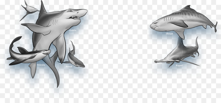 Shark Wars Wal Hai Goblin shark - Hai