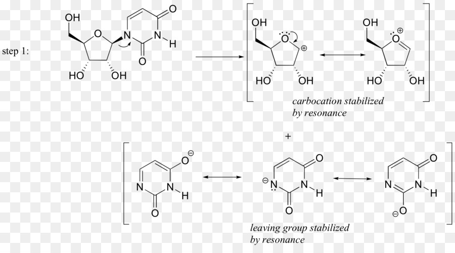 Biochimica Carbocation Elettrofilo Bianco - l'arte di scrivere ragionevole biologica di reazione mechani