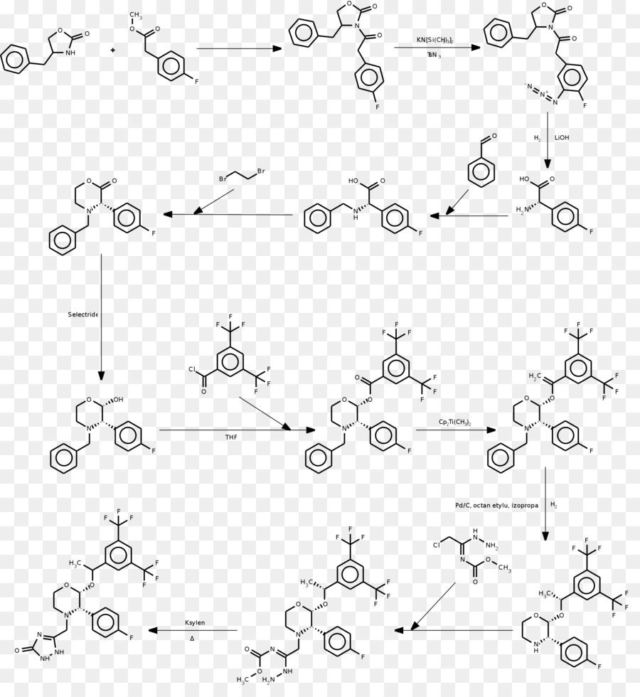 Aprepitant Chemische Synthese CYP3A4 Organische Chemie Sintesis - andere