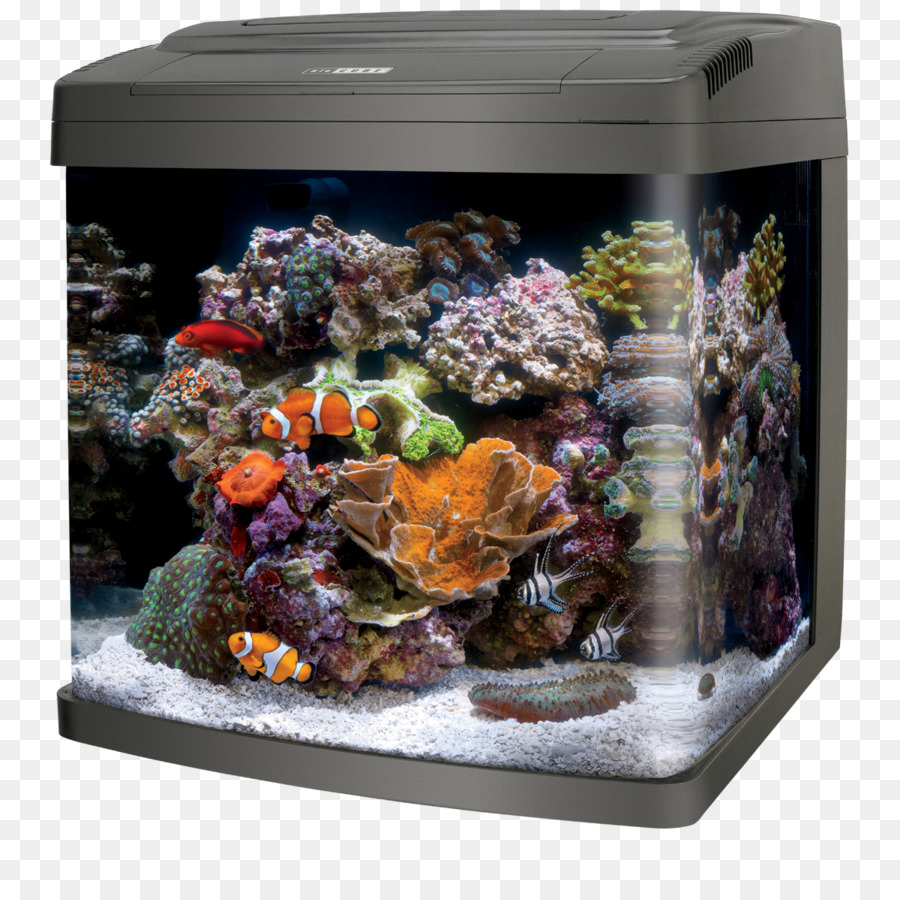 Coralife DẪN BioCube Coralife DẪN Sinh học Khối lập phương 32 Bể cá Reef - những người khác