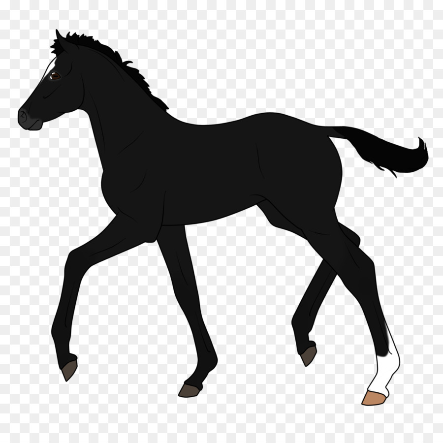 Olandese Warmblood Stallone Pony Mare Silhouette - silhouette