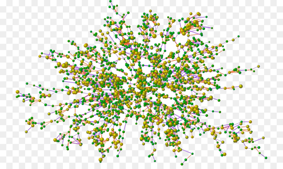 Grafico database Neo4j grafo orientato Grado - scalefree rete