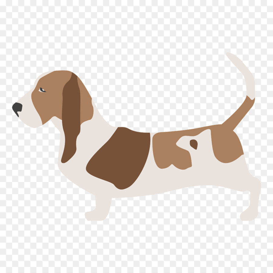 Beagle Harrier Cane razza Cucciolo di Basset Hound - cucciolo