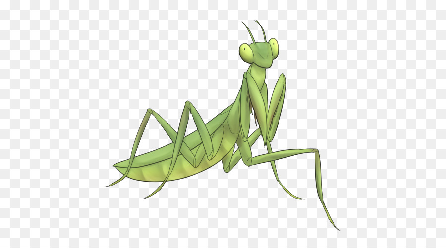 Locust Mantis Clip nghệ thuật - Thiết kế