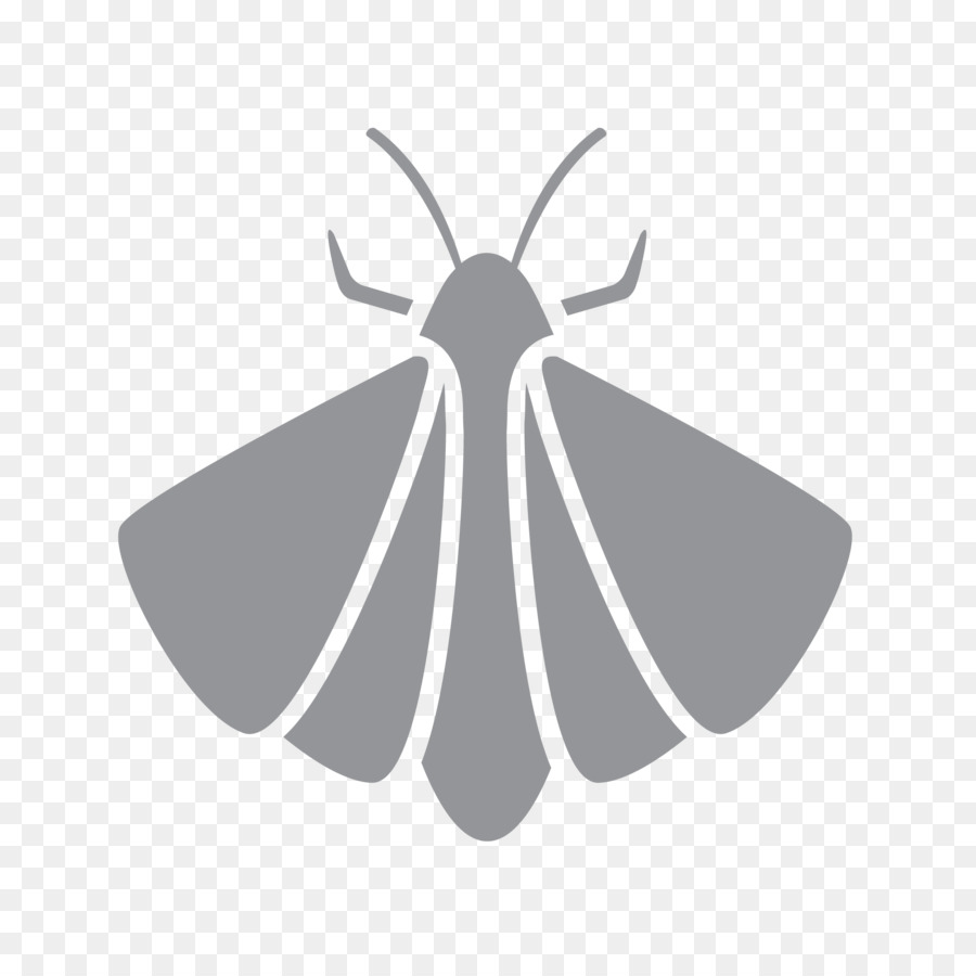 Falena Pennello zampe farfalle di Controllo dei Parassiti Lower Mainland - 1 ° controllo dei parassiti
