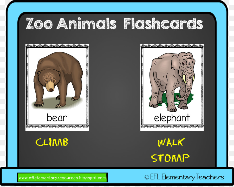 Elefante indiano Flashcard inglese come lingua seconda o straniera Insegnante Orso - Insegnante