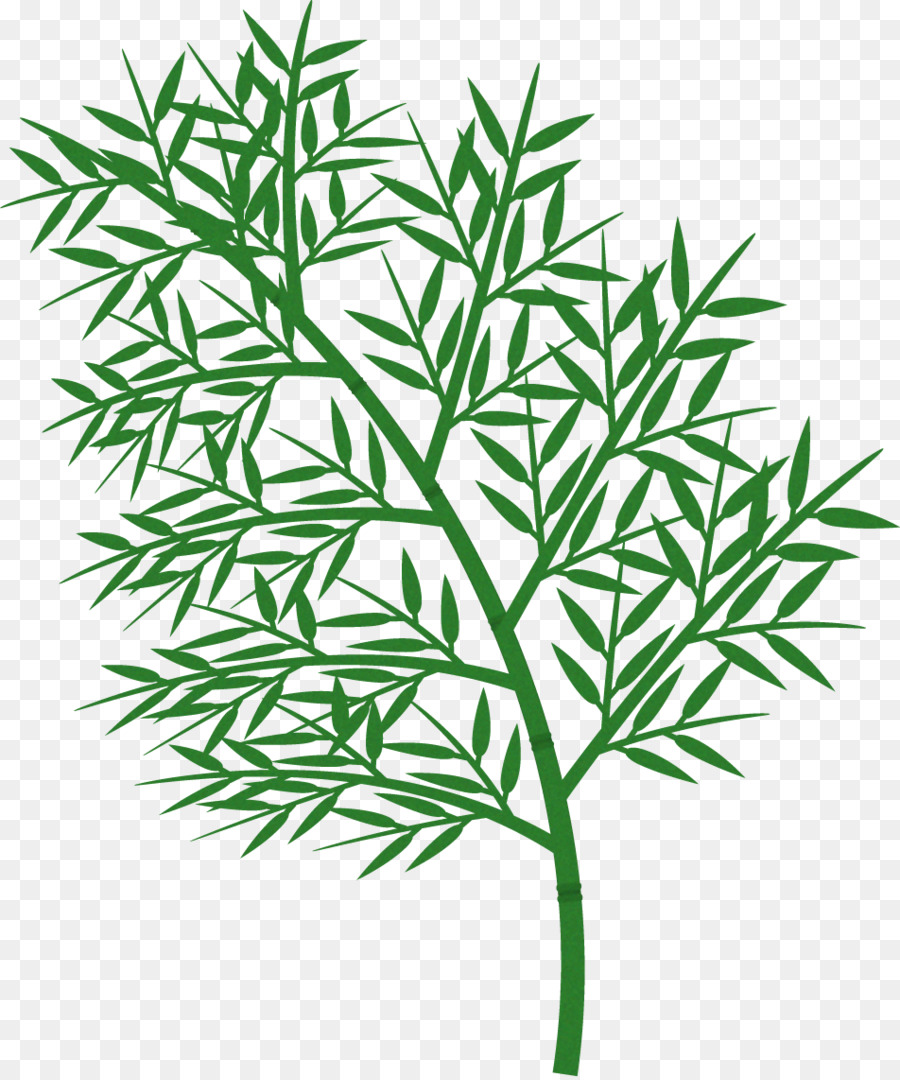 Gräser, Blatt, Pflanze, Stamm-Line Weiß - Blatt