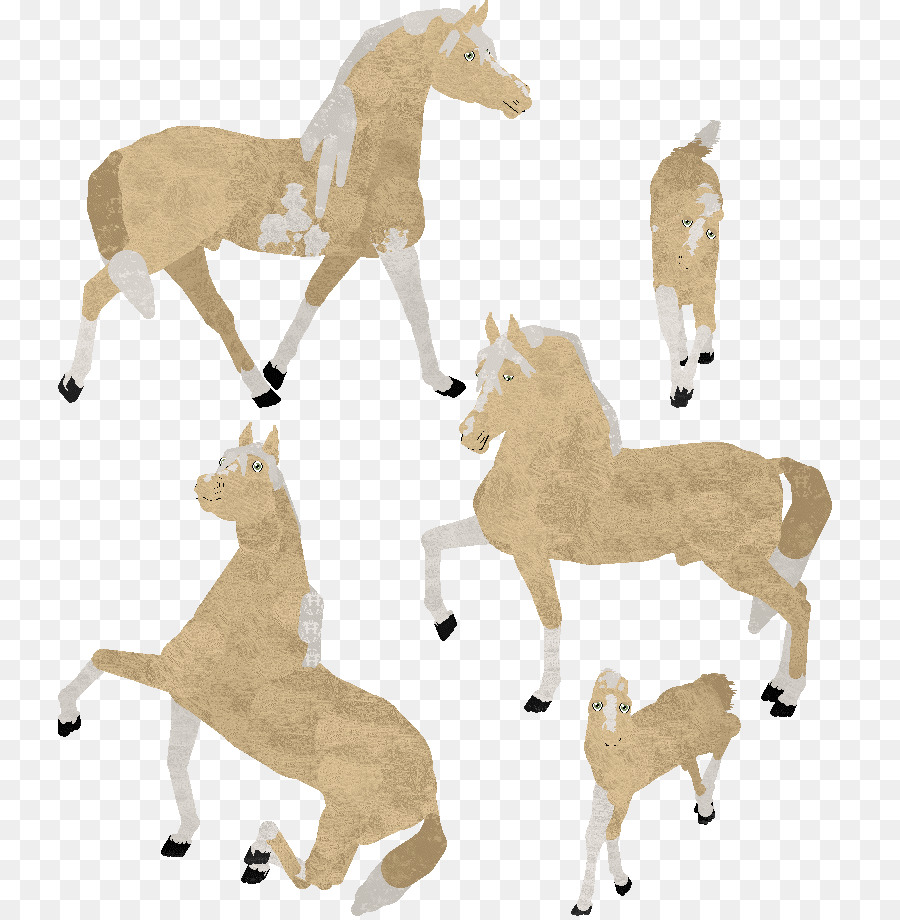 Mustang Gypsy ngựa Yorkshire ngựa Horsez động Vật - mustang