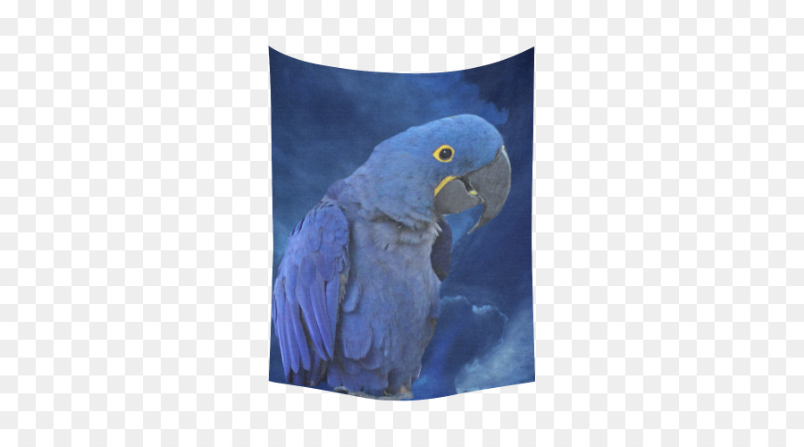 Macaw Pappagallo blu Cobalto Becco - Ara giacinto
