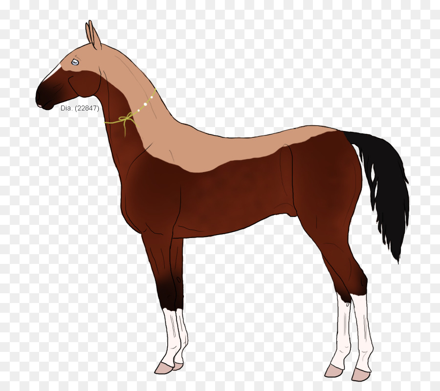 Mustang Puledro Di Pony Mare Arte - mustang