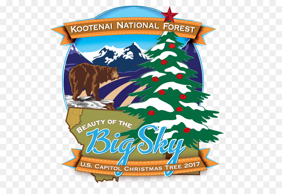 United States Capitol Kootenai National Forest Der Kootenai Capitol Christmas Tree - Weihnachtsbaum