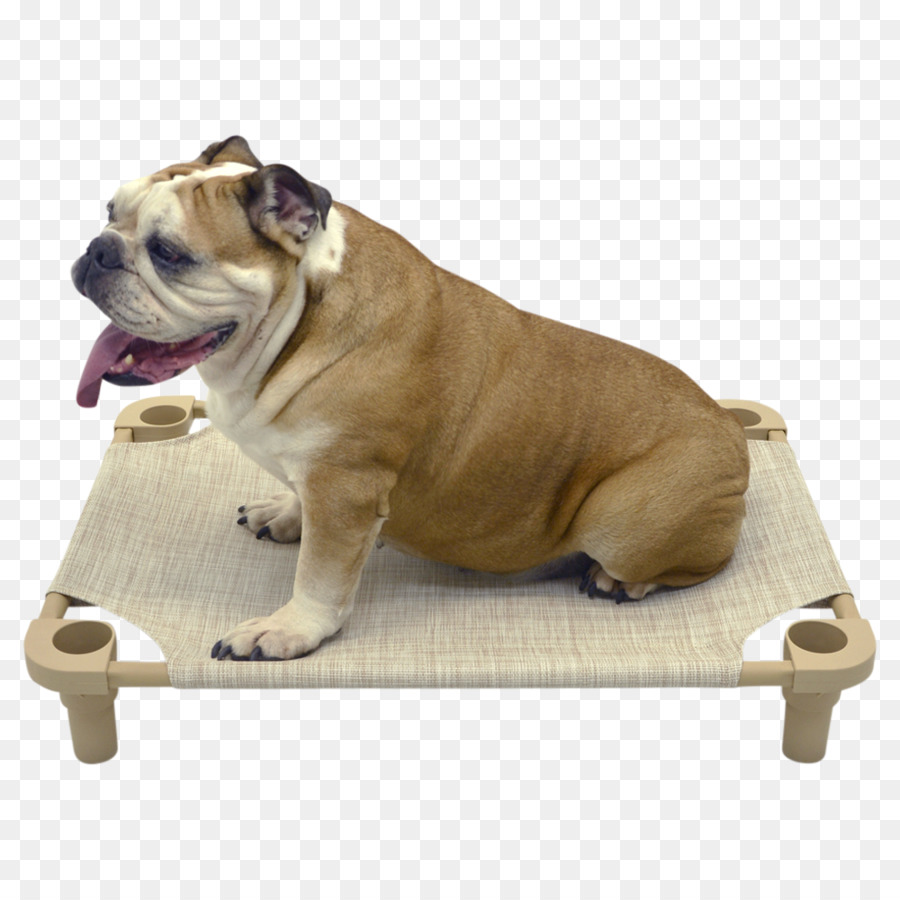 Đồ Chó Dorset Mai Đẳng Bulldogge Chó Chow Chow Irish Terrier - giường