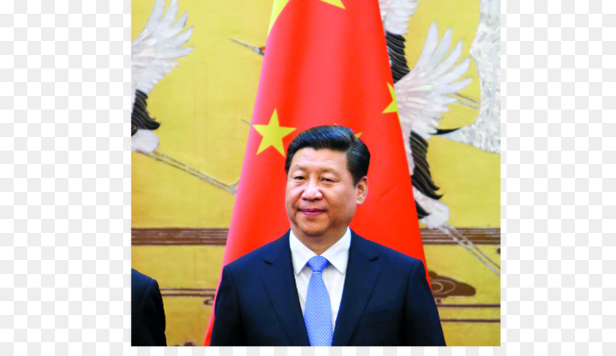XI Jinping ist iron fist Politik in China ist, ob: 2012-2013 in der Diplomat, China Professional Buch - China