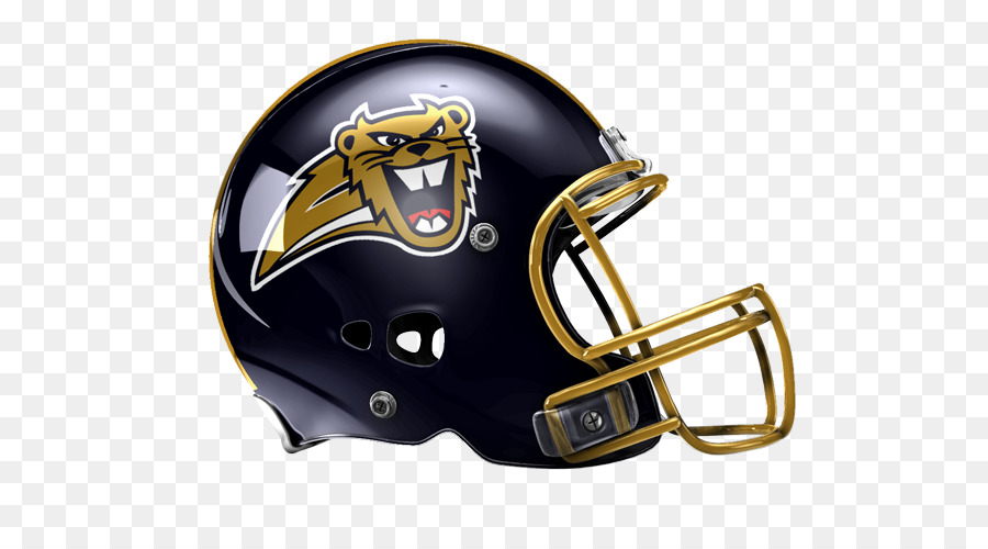 Tennessee Titans-Minnesota Vikings Michigan Panthers Super Bowl: Cincinnati Bengals - revolution Helme