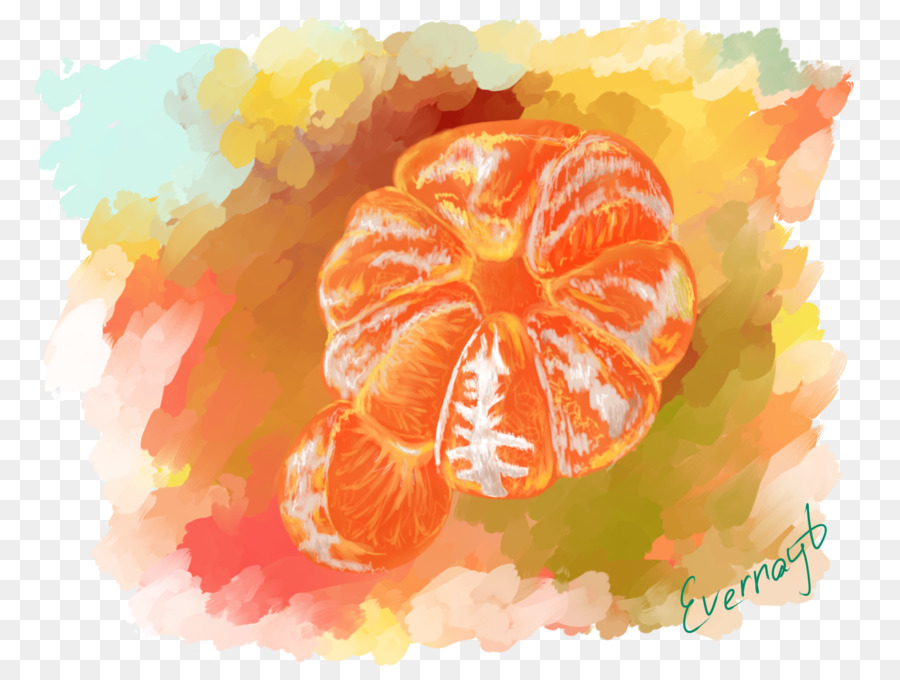 Grapefruit Mandarine Tangerine, Clementine-Aquarell - Grapefruit