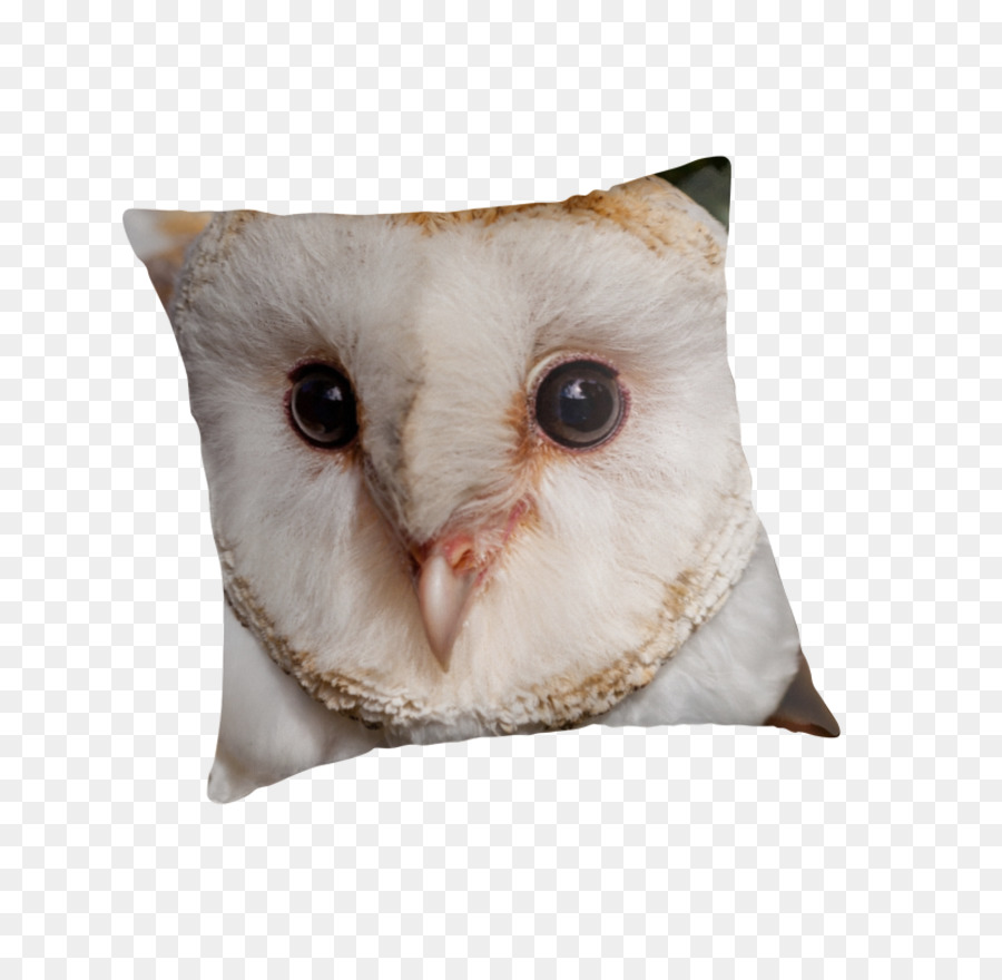 Owl Kissen Kissen Schnabel - Scheuneneule