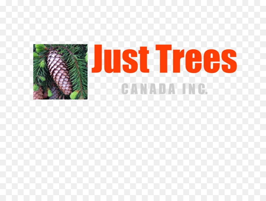 Nur Bäume Canada Inc. Bildung Curso livre Kurs - Baum