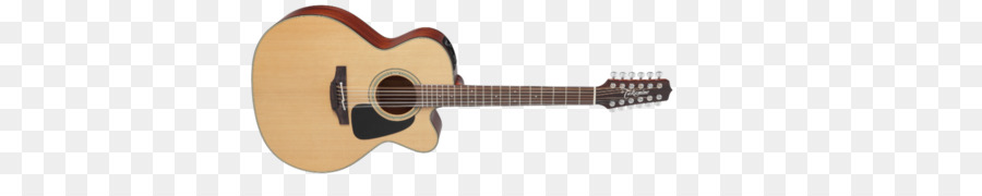 Thép string guitar Âm thanh guitar điện Takamine guitar - takamine guitar