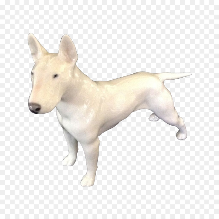 Miniature Bull Terrier inglese Antico Terrier inglese White Terrier Cane di razza - altri