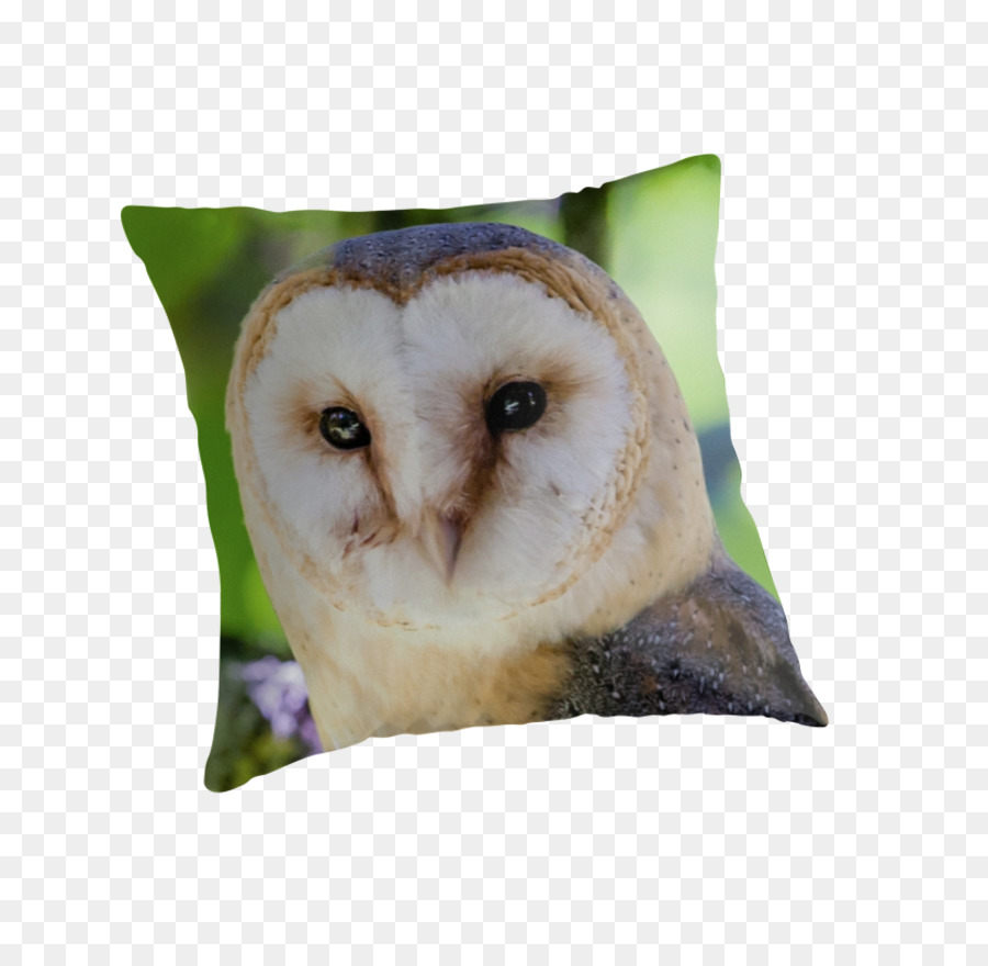 Owl Kissen Kissen Schnabel - Scheuneneule