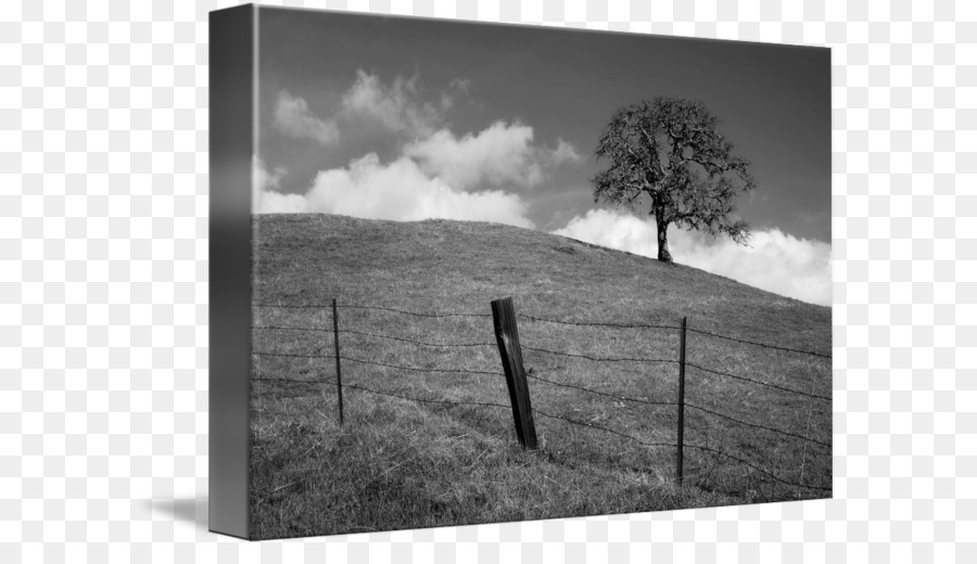 Schwarz und weiß Imagekind Kunst Fotografie - dunvant hill Grünflächenpflege