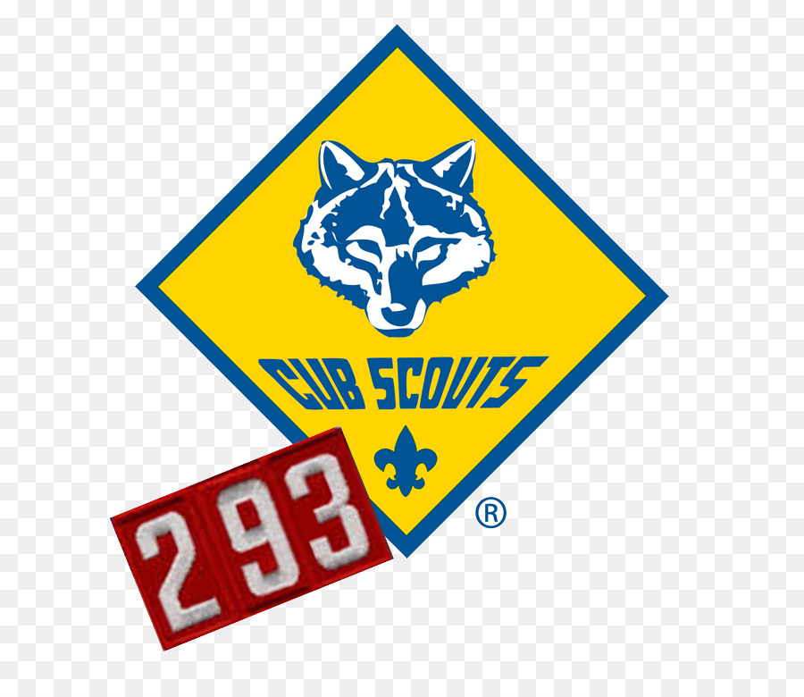 Scautismo per Ragazzi Cub Scout Boy Scouts of America - succulento