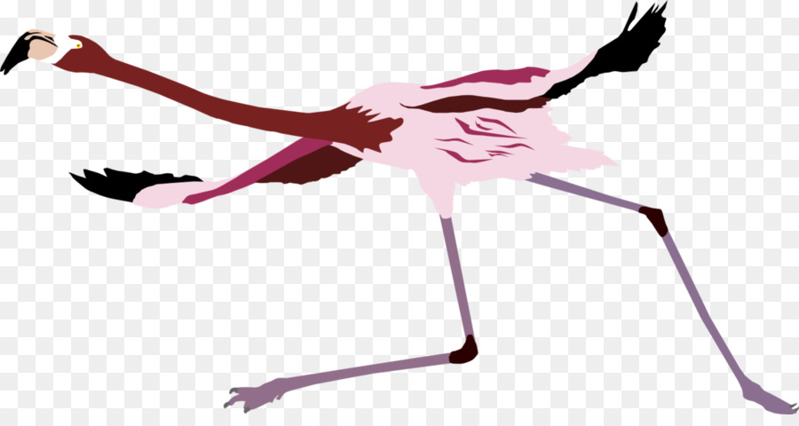 Rosa M Schnabel Hals - Amerikaner Flamingo