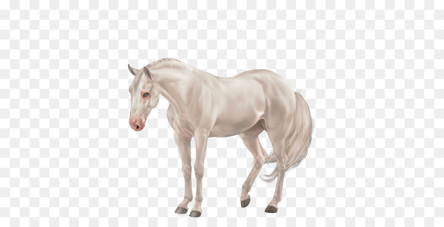 Mane Mustang Puledro Stallone Puledro - tennessee a cavallo