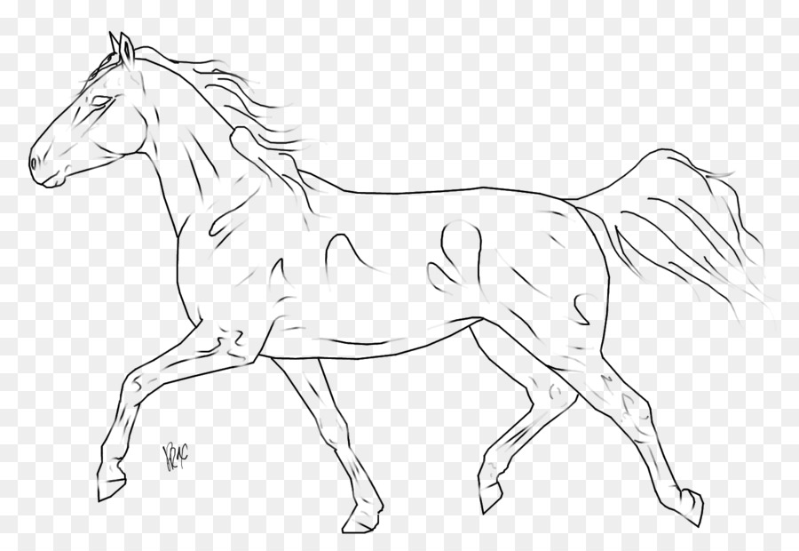 Fohlen Pony-Trense Mustang Mähne - Mustang