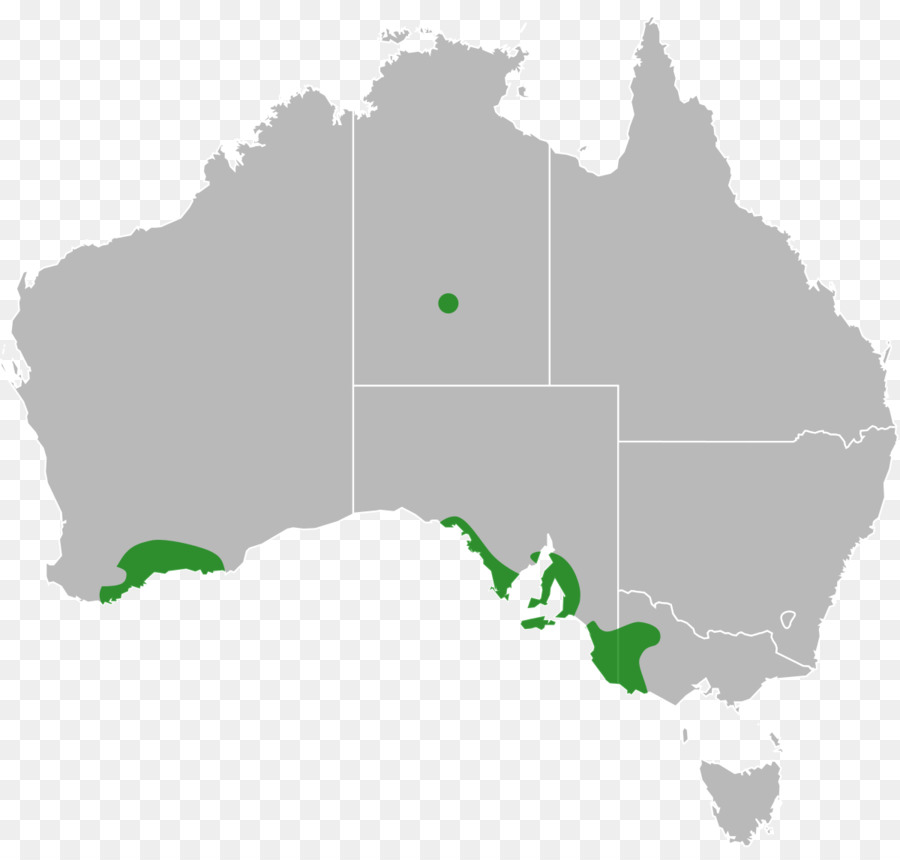 Australia Mappa di fotografia Stock - Australia