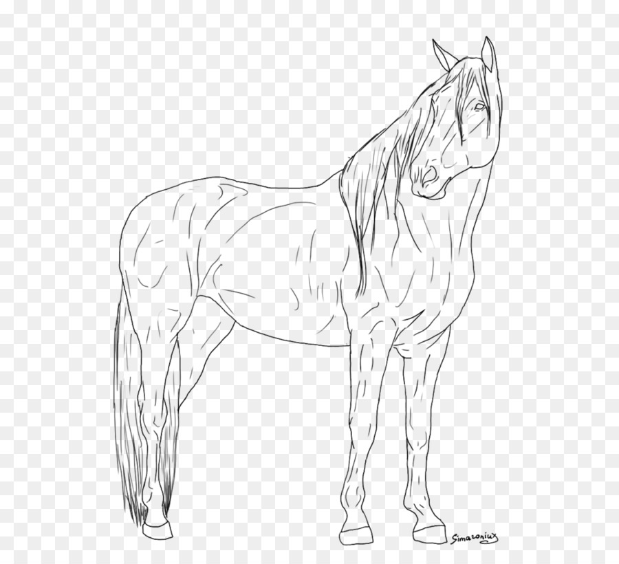 Maultier Mustang Appaloosa Fohlen Skizze - Stehenden Pferd