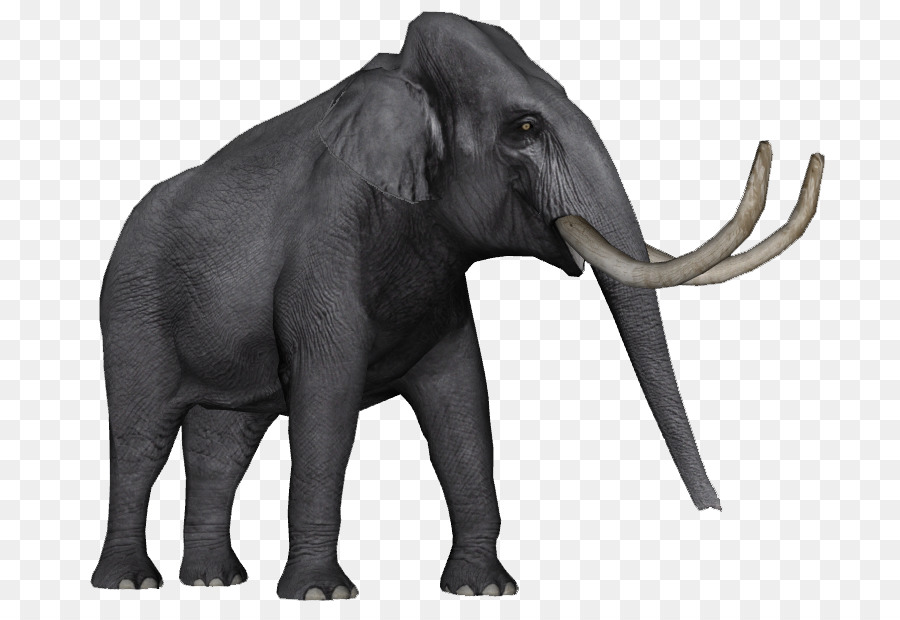 Afrikanischer Elefant asiatischer Elefant-Zoo Tycoon 2 Elephantidae Elephas hysudrindicus - Asiatische Elefanten