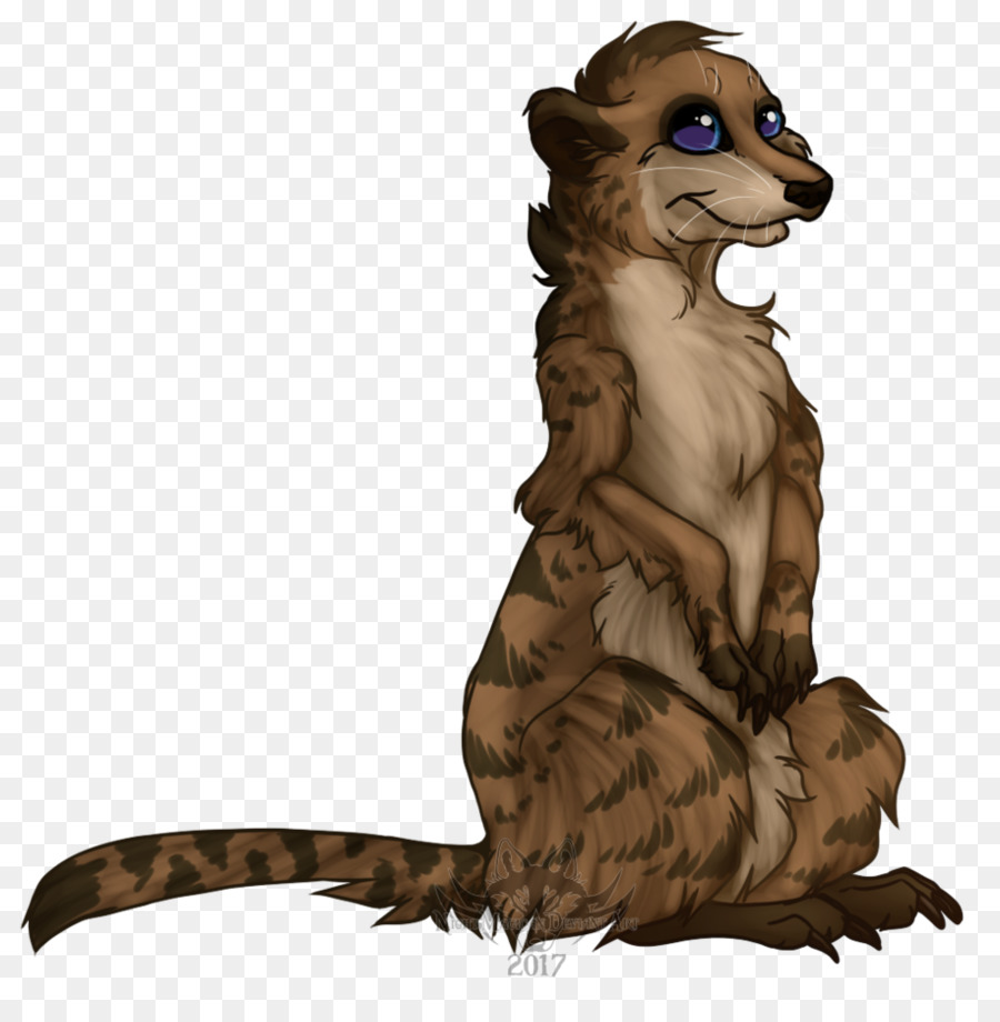 Raccoon Meerkat Beaver Canidae di YouTube - Procione