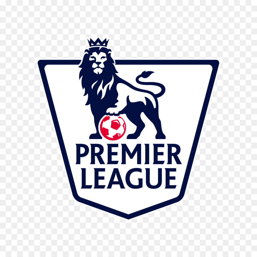 2016-17 Premier League 2015-16 Premier League 2018-19 Premier League 2013-14 Premier League 2017-18 Premier League - altri