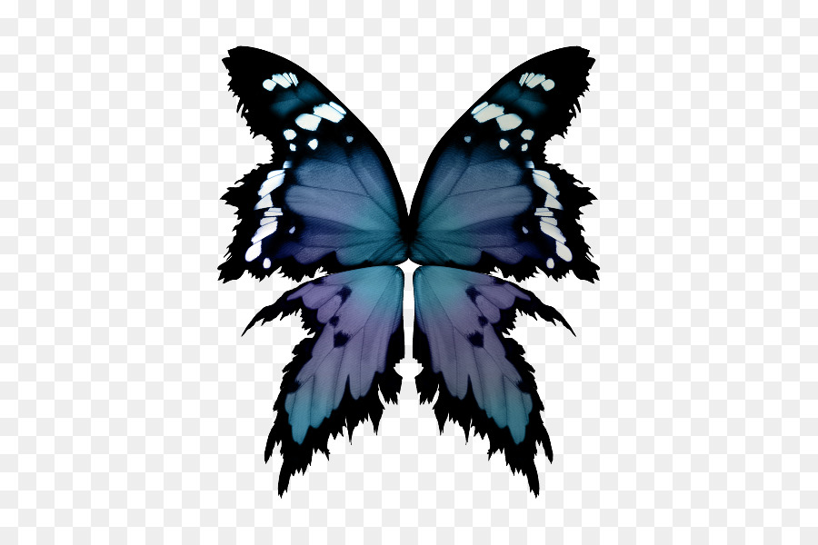 Farfalla Pittura A Pennello Simmetria - farfalla