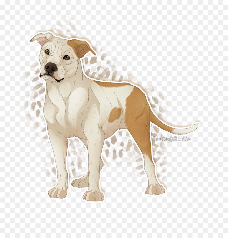 Hunderasse die Nicht-sportliche Gruppe Leine - American Staffordshire Terrier