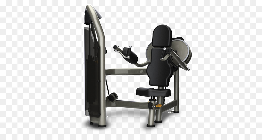 Esercizio attrezzature Fitness Centro Vitello solleva idoneità Fisica Peso di formazione - macchina di esercizio