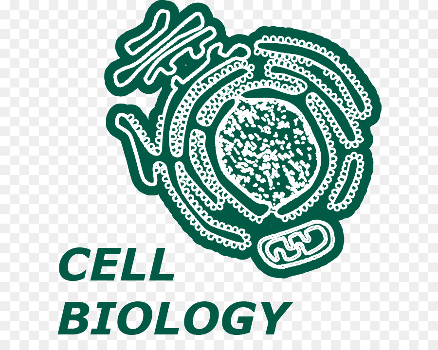 Logo Brand Organismo Di Carattere - Biologia cellulare