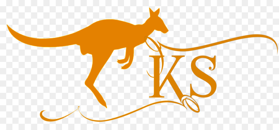 Kangaroo Bóng Thuộc Họ Chân To - Kangaroo