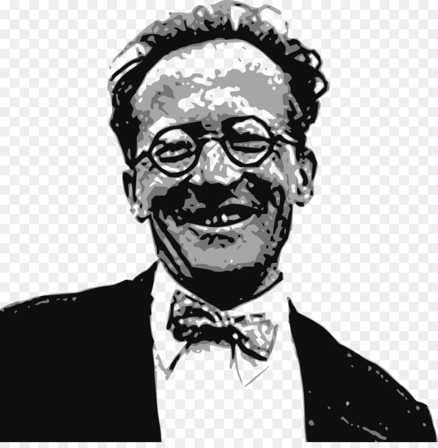 Schrödinger s cat Schrödinger equation T-shirt Quantum mechanics Wave equation - Maglietta