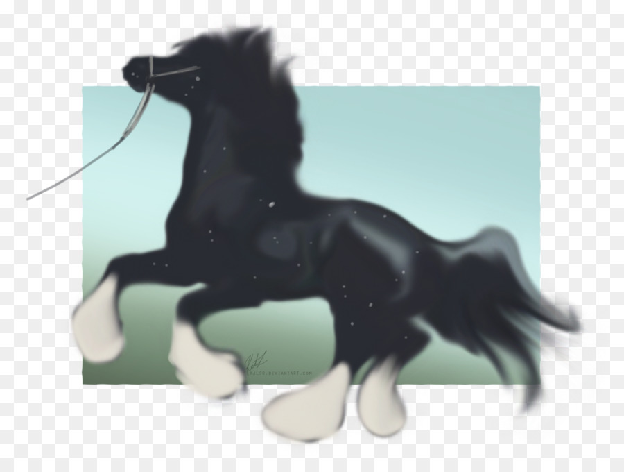 Stallone Mustang Pony Mane branco di animali - Conformazione mostrano