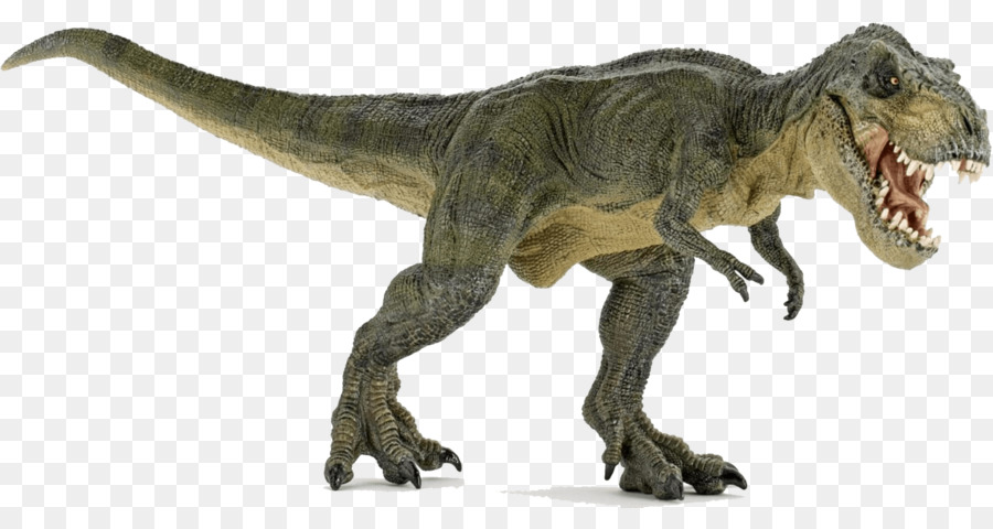 Tyrannosaurus Velociraptor Spinosaurus Triceratops Ceratosaurus - Dinosaurier