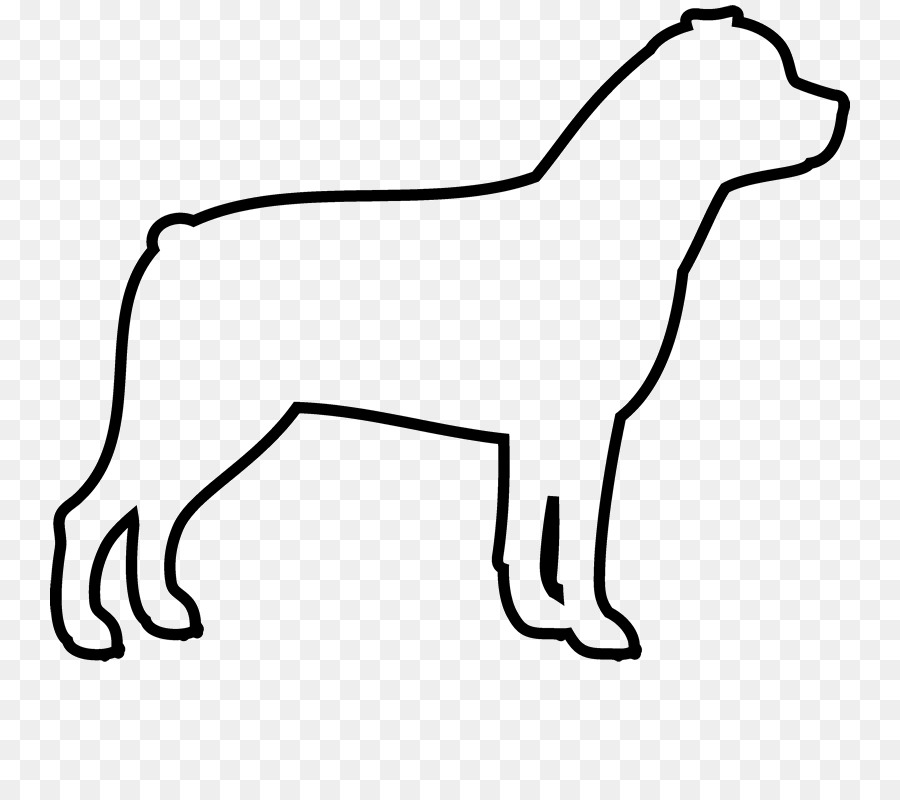 Cane razza Cucciolo di Labrador Retriever, Terranova cane Rottweiler - Canino