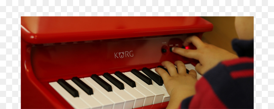 Kỹ thuật số piano Nord Điện piano Điện Tử bàn phím Nhạc bàn phím - đồ chơi piano