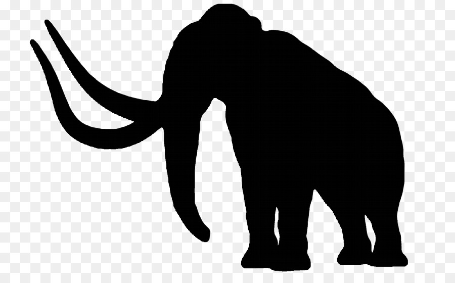 Der afrikanische Elefant Katze Woolly mammoth indischen Elefanten-Elephantidae - Woolly Mammoth