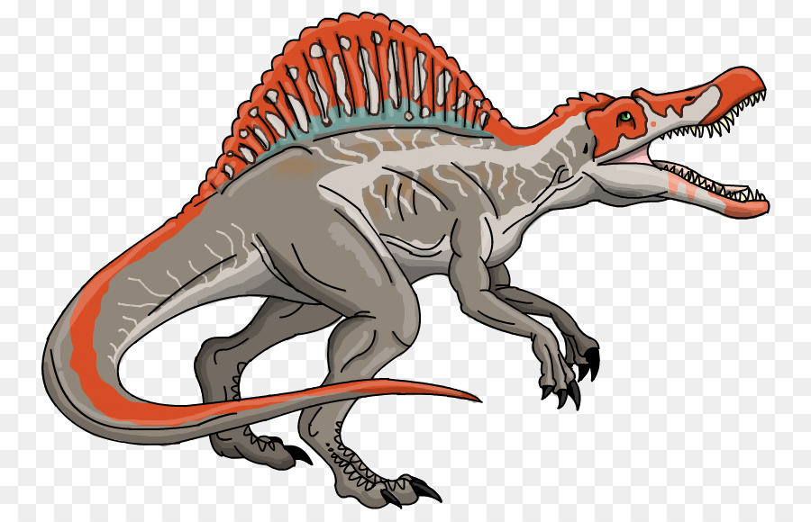 Spinosaurus Jurassischen Evolution Der Welt Jurassic Park Tyrannosaurus Zeichnung - Spinosaurus