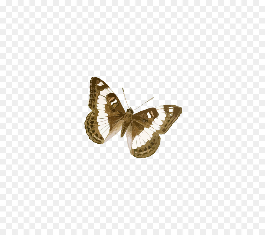 Bàn chân bướm Bướm Moth Vẽ Nâu - bướm